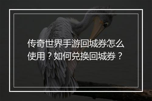 传奇世界手游回城券怎么使用？如何兑换回城券？