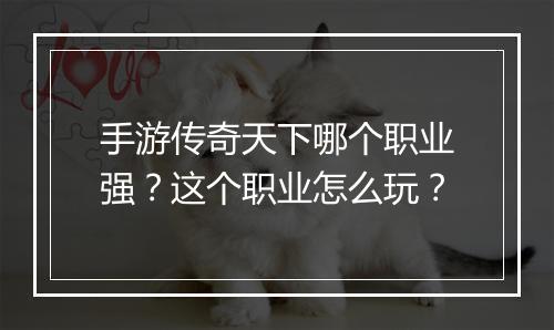 手游传奇天下哪个职业强？这个职业怎么玩？