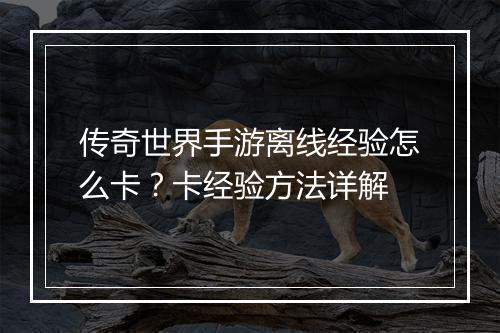 传奇世界手游离线经验怎么卡？卡经验方法详解
