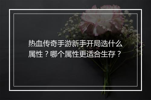 热血传奇手游新手开局选什么属性？哪个属性更适合生存？