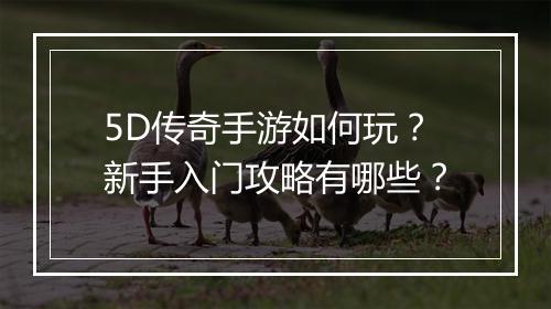 5D传奇手游如何玩？新手入门攻略有哪些？