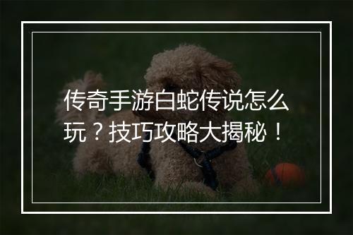 传奇手游白蛇传说怎么玩？技巧攻略大揭秘！