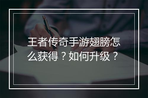 王者传奇手游翅膀怎么获得？如何升级？