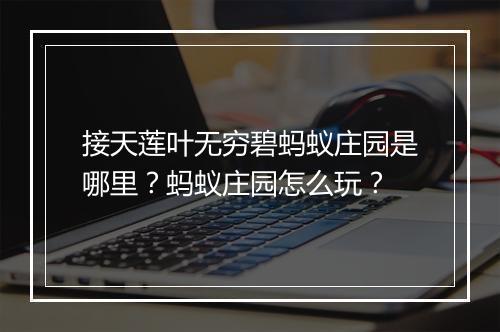 接天莲叶无穷碧蚂蚁庄园是哪里？蚂蚁庄园怎么玩？
