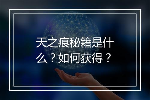 天之痕秘籍是什么？如何获得？