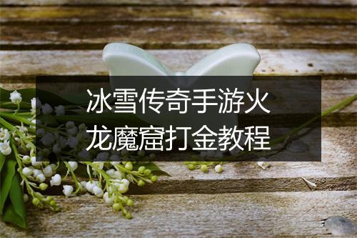 冰雪传奇手游火龙魔窟打金教程