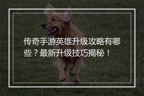 传奇手游英雄升级攻略有哪些？最新升级技巧揭秘！