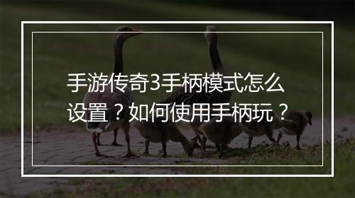 手游传奇3手柄模式怎么设置？如何使用手柄玩？