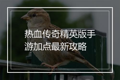 热血传奇精英版手游加点最新攻略