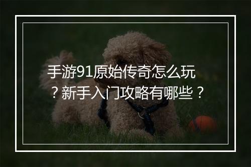 手游91原始传奇怎么玩？新手入门攻略有哪些？