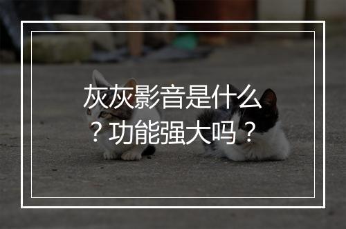 灰灰影音是什么？功能强大吗？