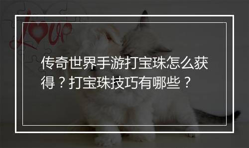 传奇世界手游打宝珠怎么获得？打宝珠技巧有哪些？