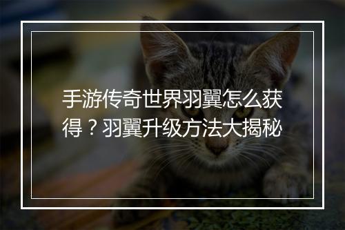 手游传奇世界羽翼怎么获得？羽翼升级方法大揭秘