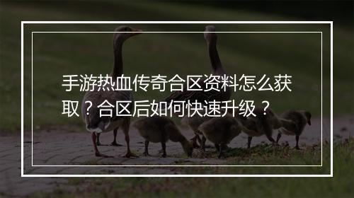 手游热血传奇合区资料怎么获取？合区后如何快速升级？