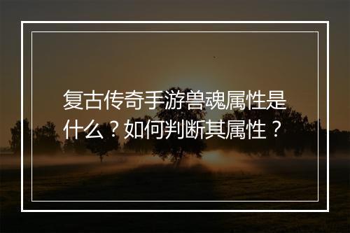 复古传奇手游兽魂属性是什么？如何判断其属性？