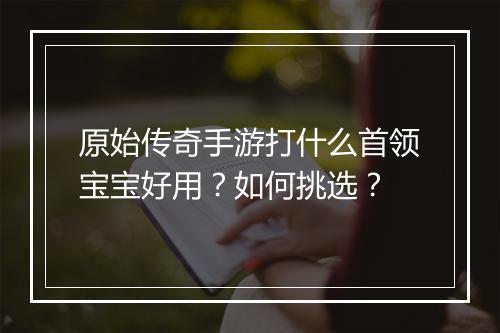 原始传奇手游打什么首领宝宝好用？如何挑选？