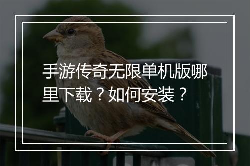 手游传奇无限单机版哪里下载？如何安装？