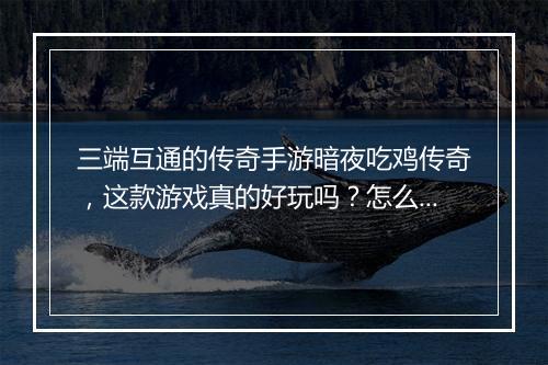 三端互通的传奇手游暗夜吃鸡传奇，这款游戏真的好玩吗？怎么玩？