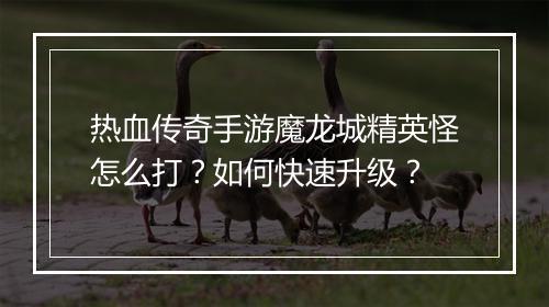 热血传奇手游魔龙城精英怪怎么打？如何快速升级？