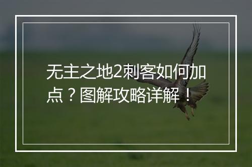 无主之地2刺客如何加点？图解攻略详解！
