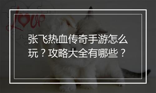 张飞热血传奇手游怎么玩？攻略大全有哪些？