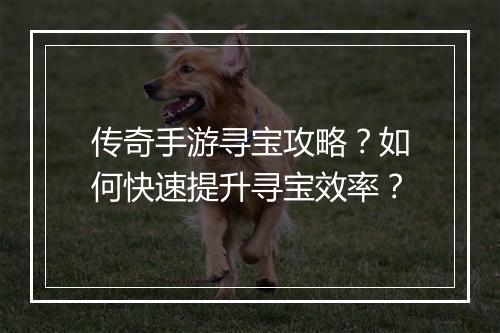 传奇手游寻宝攻略？如何快速提升寻宝效率？
