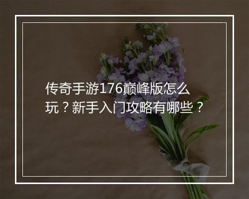 传奇手游176巅峰版怎么玩？新手入门攻略有哪些？