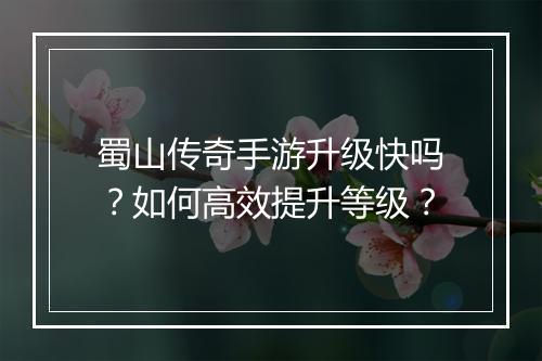 蜀山传奇手游升级快吗？如何高效提升等级？