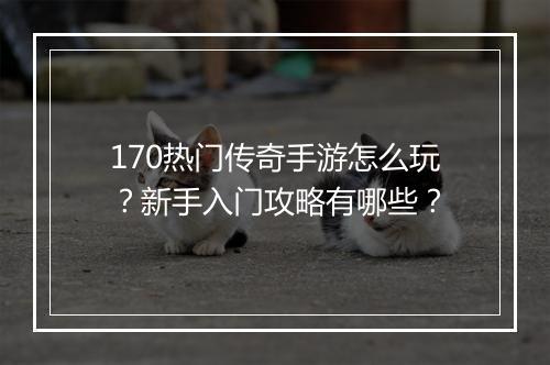 170热门传奇手游怎么玩？新手入门攻略有哪些？