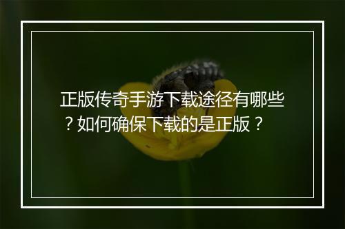正版传奇手游下载途径有哪些？如何确保下载的是正版？