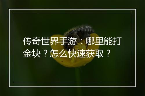 传奇世界手游：哪里能打金块？怎么快速获取？