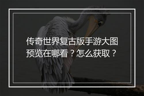 传奇世界复古版手游大图预览在哪看？怎么获取？
