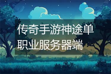 传奇手游神途单职业服务器端