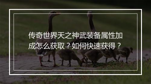 传奇世界天之神武装备属性加成怎么获取？如何快速获得？
