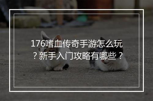 176嗜血传奇手游怎么玩？新手入门攻略有哪些？