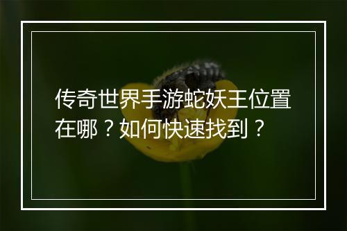 传奇世界手游蛇妖王位置在哪？如何快速找到？