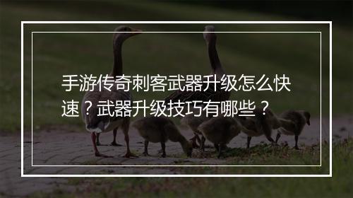 手游传奇刺客武器升级怎么快速？武器升级技巧有哪些？