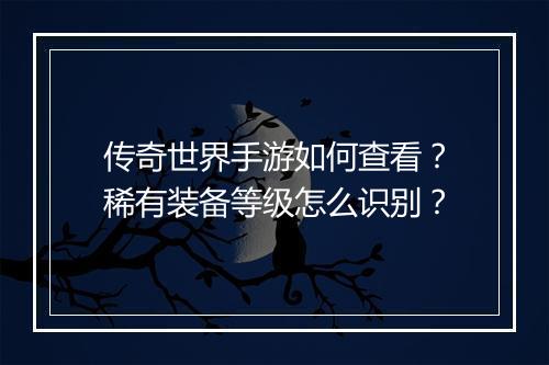 传奇世界手游如何查看？稀有装备等级怎么识别？