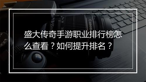 盛大传奇手游职业排行榜怎么查看？如何提升排名？