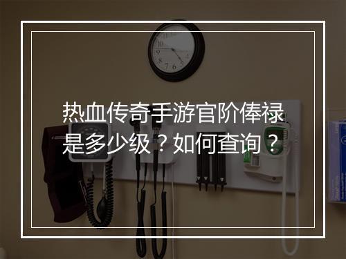 热血传奇手游官阶俸禄是多少级？如何查询？