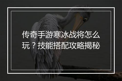 传奇手游寒冰战将怎么玩？技能搭配攻略揭秘