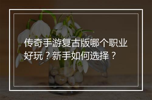 传奇手游复古版哪个职业好玩？新手如何选择？