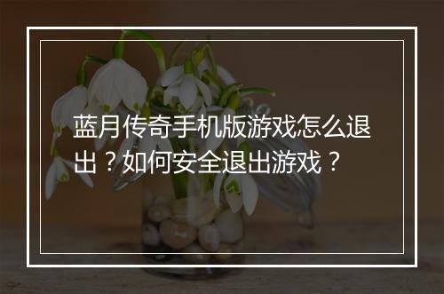 蓝月传奇手机版游戏怎么退出？如何安全退出游戏？