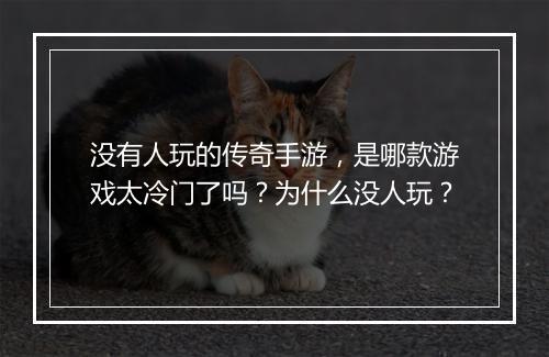 没有人玩的传奇手游，是哪款游戏太冷门了吗？为什么没人玩？