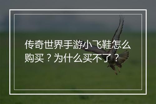 传奇世界手游小飞鞋怎么购买？为什么买不了？