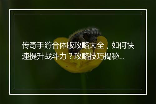 传奇手游合体版攻略大全，如何快速提升战斗力？攻略技巧揭秘！