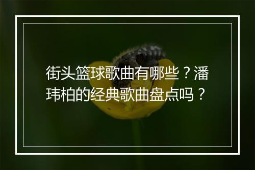 街头篮球歌曲有哪些？潘玮柏的经典歌曲盘点吗？