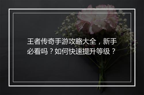 王者传奇手游攻略大全，新手必看吗？如何快速提升等级？
