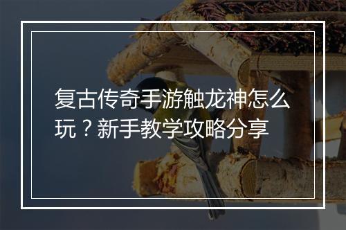 复古传奇手游触龙神怎么玩？新手教学攻略分享