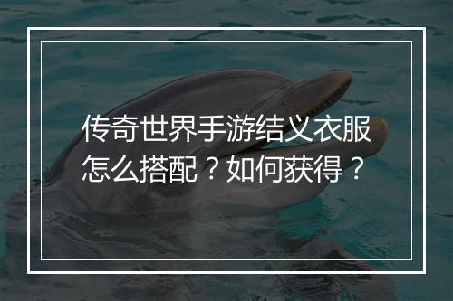 传奇世界手游结义衣服怎么搭配？如何获得？